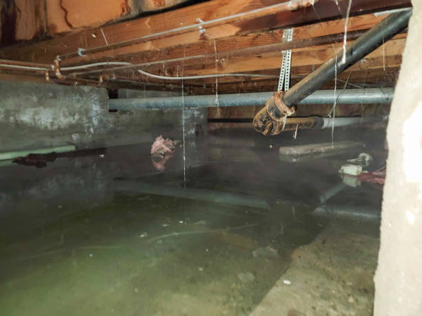 Best Water damage restoration near me  in Godfrey, IL
