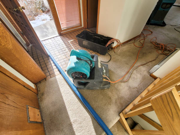 Best 24/7 water damage repair  in Godfrey, IL