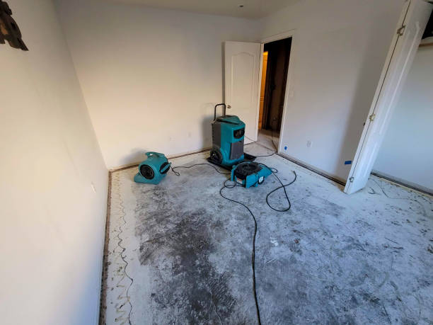 Best Ceiling water damage repair  in Godfrey, IL