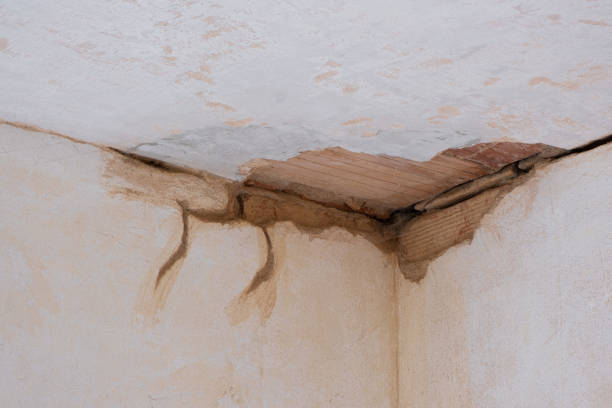 Best Residential water damage restoration  in Godfrey, IL