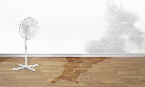 Reliable Godfrey, IL Water damage restoration Solutions