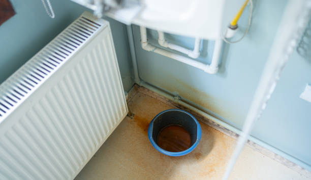 Best Local water damage restoration  in Godfrey, IL