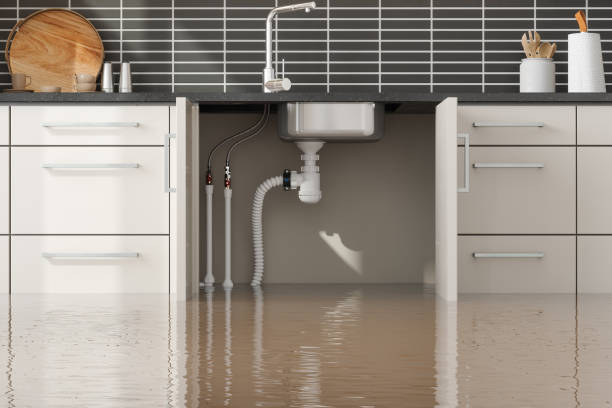 Best Flood damage cleanup  in Godfrey, IL