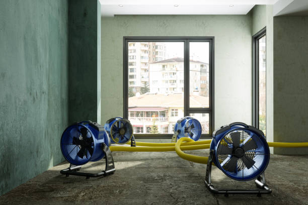 Best Water damage restoration mold remediation  in Godfrey, IL