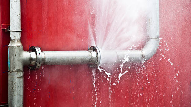 Best Commercial water damage restoration  in Godfrey, IL